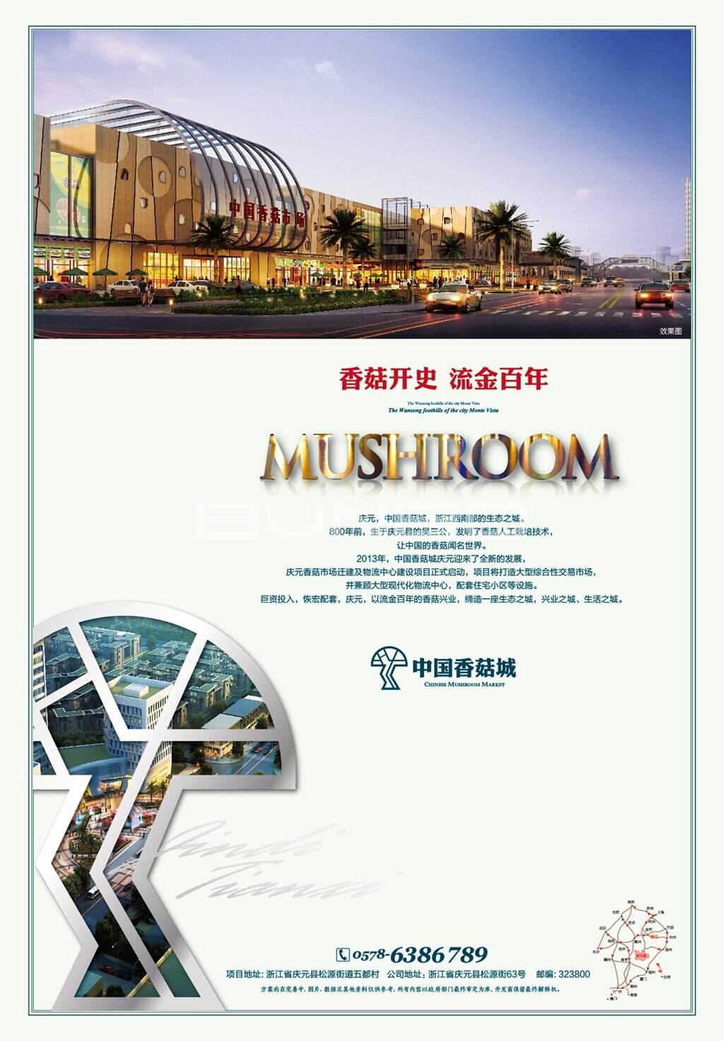 中国香菇城，亚洲最大香菇原产地市场