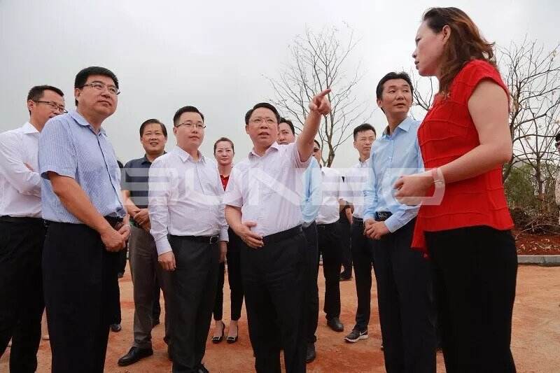 南昌市委副书记、市长刘建洋一行考察绿地安南小镇项目