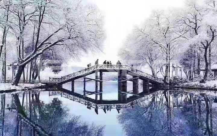 超美的杭州雪景